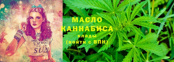 молекула духа Бугульма